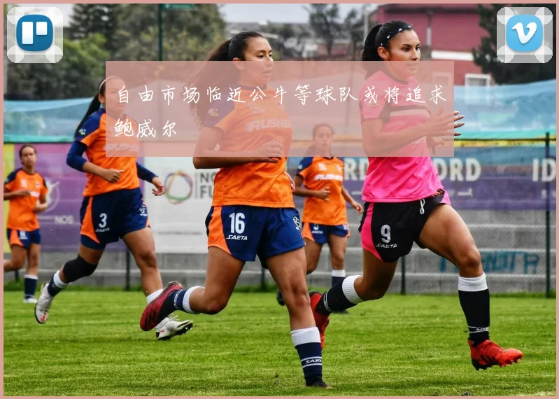 自由市场临近公牛等球队或将追求鲍威尔